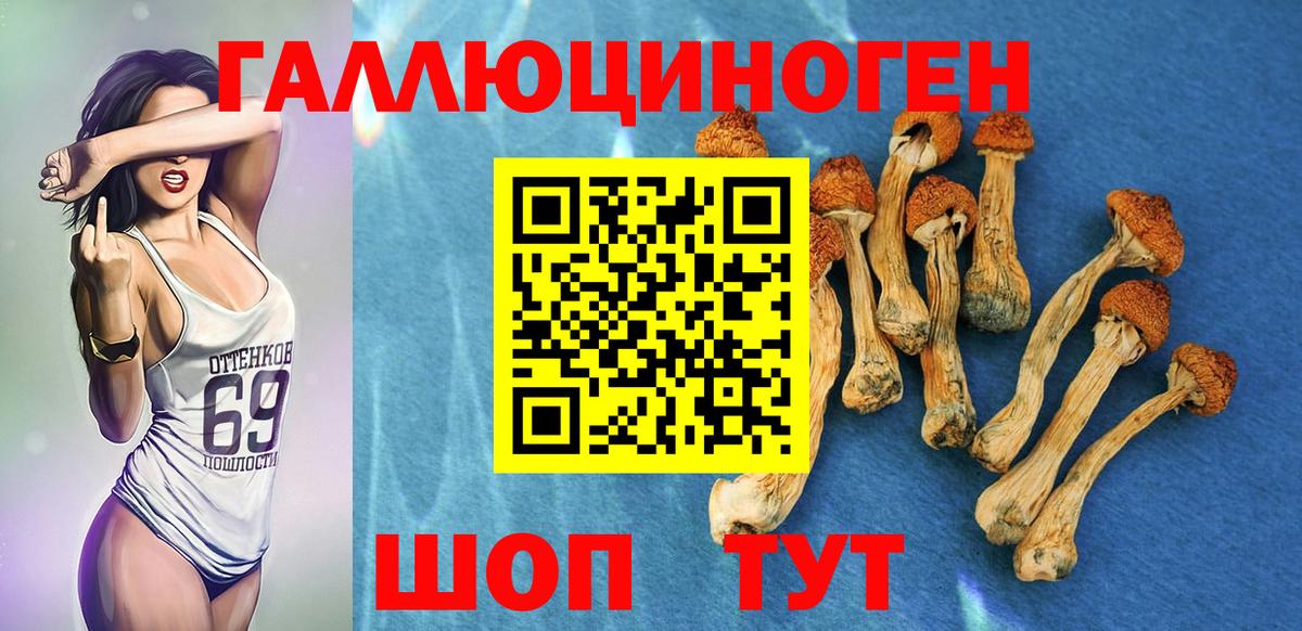 Псилоцибиновые грибы ЛСД Осинники