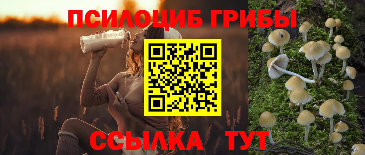 Осинники  Псилоцибиновые грибы ЛСД  Галлюциногенные грибы MAGIC MUSHROOMS  Вход с VPN 